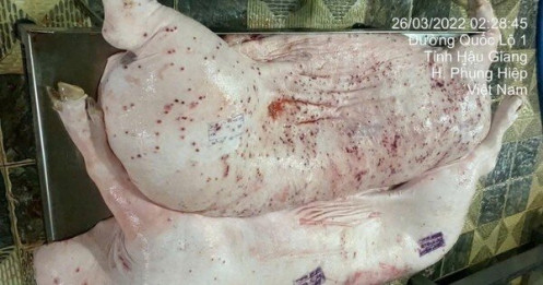 Sóc Trăng đề nghị Hậu Giang phối hợp xác minh vụ tố C.P. 'tuồn thịt bẩn' ra thị trường