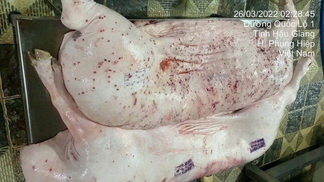 Sóc Trăng đề nghị Hậu Giang phối hợp xác minh vụ tố C.P. 'tuồn thịt bẩn' ra thị trường