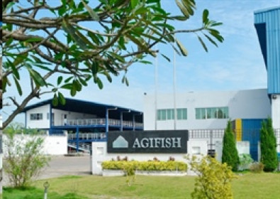 Agifish nuôi hy vọng có lãi sau chuỗi thua lỗ kéo dài