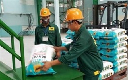 Phân bón Bình Điền sắp trả cổ tức 2,500 đồng/cp