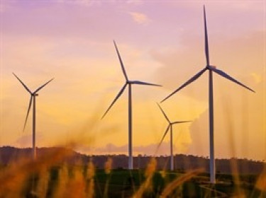 SCI, ASM đăng ký thực hiện 2 dự án điện gió tổng công suất 56MW ở Quảng Trị
