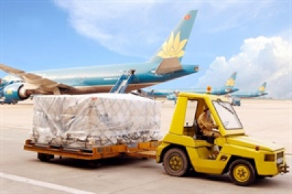 Nội Bài Cargo thông báo cổ tức tiền 8,000 đồng/cp, cổ phiếu nhích tăng