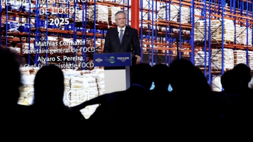 OECD hạ dự báo tăng trưởng kinh tế toàn cầu vì thuế quan