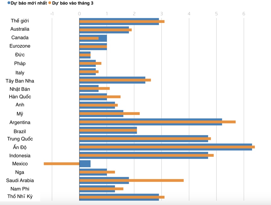 OECD hạ dự báo tăng trưởng kinh tế toàn cầu vì thuế quan