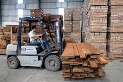 Phú Tài chia cổ tức còn lại 2024 tỷ lệ 15%