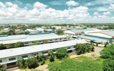 SIP sắp phát hành gần 32 triệu cp để trả cổ tức