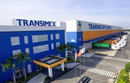 TMS đăng ký mua VNT và TJC nhưng không mua do giá thị trường chưa phù hợp