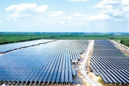 Hai công ty mua bán nợ trở thành cổ đông lớn của BCG Energy