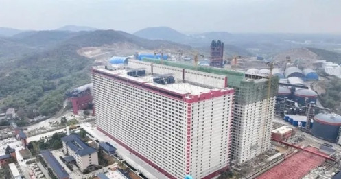 Đề xuất xây 'chung cư' cho... lợn