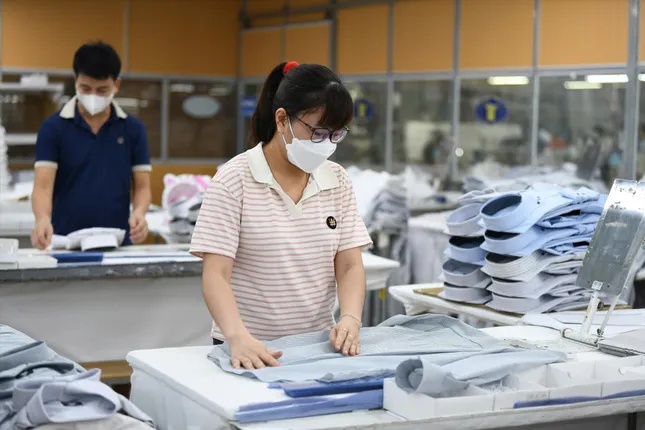 Chiến lược đưa kinh tế hộ gia đình thành doanh nghiệp ảnh 1