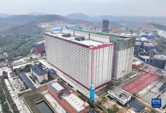 Đề xuất xây 'chung cư' cho... lợn