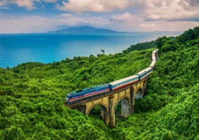 TVG trả cổ tức cộng dồn 3 năm, Phó Chủ tịch muốn gom gần 17%