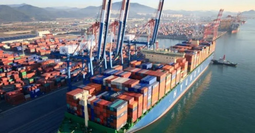 Doanh nghiệp vận tải biển nguy cơ bị 'bào mòn' lợi nhuận