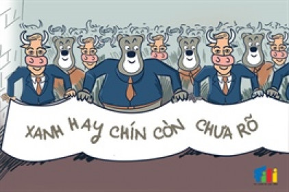 Góc nhìn tuần 09-13/06: Bước vào giai đoạn điều chỉnh?