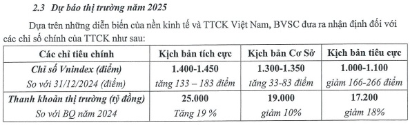 BVS đặt mục tiêu lãi sau thuế 195 tỷ đồng, chia cổ tức tiền mặt 8%