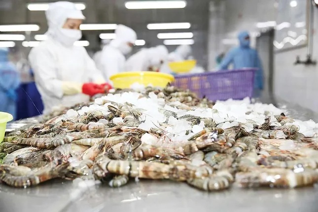 Bất ngờ về thủy sản Việt Nam xuất khẩu ảnh 1