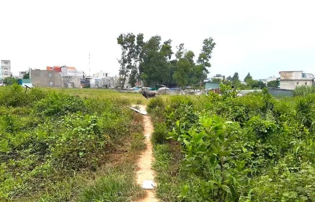 Tin lời 'cò đất', hàng trăm cư dân mua đất dự án điêu đứng