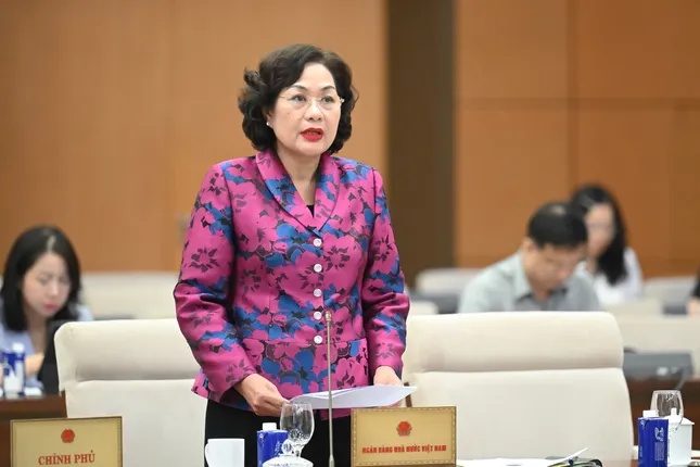 Thống đốc Nguyễn Thị Hồng: Cho vay đặc biệt lãi suất 0%/năm chỉ áp dụng với 2 trường hợp