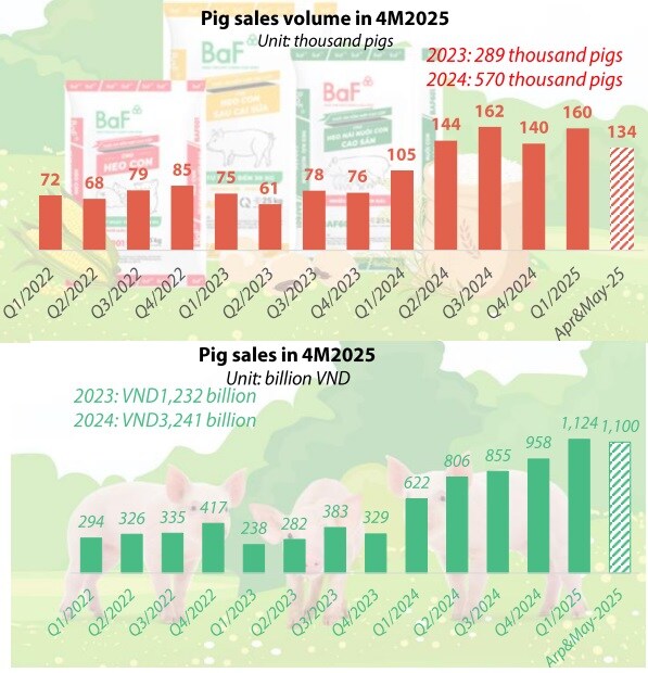 BAF: Tháng 5 phá kỷ lục doanh thu, các dự án trại tầng có thể thu về 10 ngàn tỷ