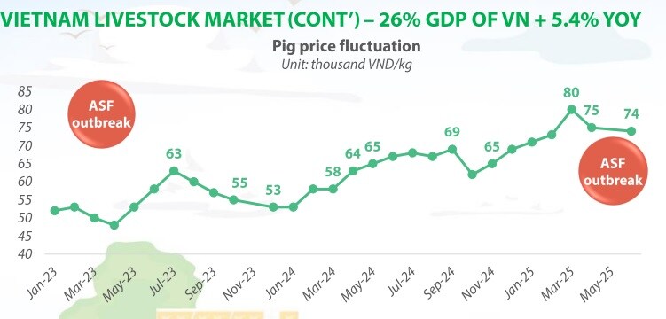 BAF: Tháng 5 phá kỷ lục doanh thu, các dự án trại tầng có thể thu về 10 ngàn tỷ
