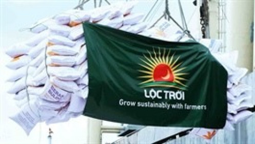 Lộc Trời vẫn “mắc kẹt” trong diện hạn chế giao dịch do chưa khắc phục được sự kiện bất khả kháng