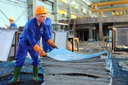 TMG chia cổ tức tiền mặt tỷ lệ 32%