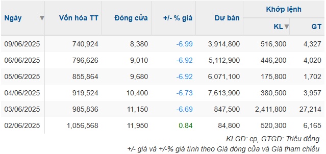Cổ phiếu giảm sàn 5 phiên liền sau khi cựu Chủ tịch bị khởi tố, VPG nói gì?