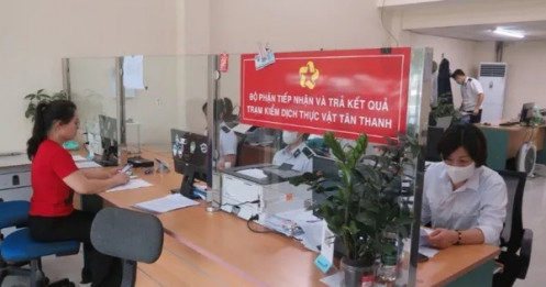 Mở ‘luồng xanh’ cho hoa quả tươi qua Lạng Sơn sang Trung Quốc