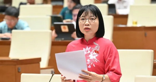 Mức phạt quá cao so với khả năng chi trả có thể dẫn đến trốn tránh, tiêu cực