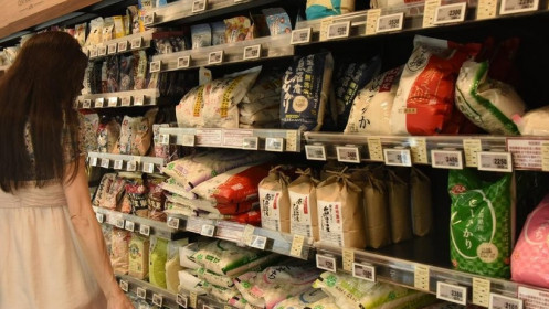 Nhật Bản xuất thêm 200.000 tấn gạo dự trữ để ổn định giá lương thực