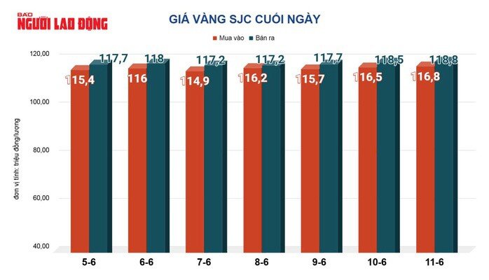 Giá vàng hôm nay,12-6: Vẫn trên đà tăng dù lạm phát Mỹ hạ nhiệt