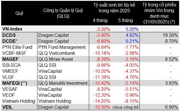 Nhóm cổ phiếu tạo ra thách thức cho các nhà quản lý quỹ