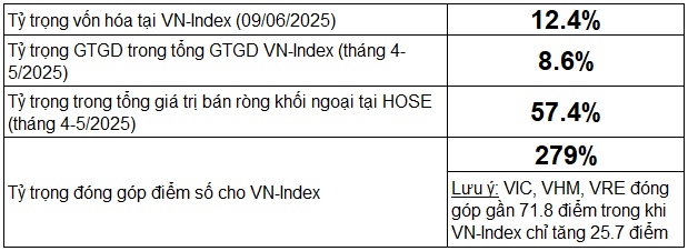 Nhóm cổ phiếu tạo ra thách thức cho các nhà quản lý quỹ