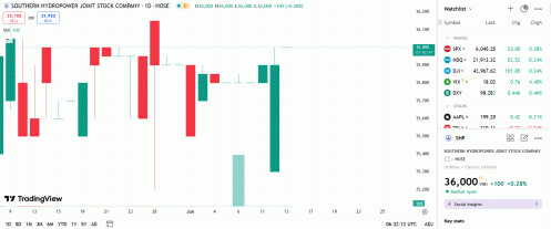 Thủy điện Đắk R'tíh chi 186 tỷ mua thêm cổ phiếu SHP