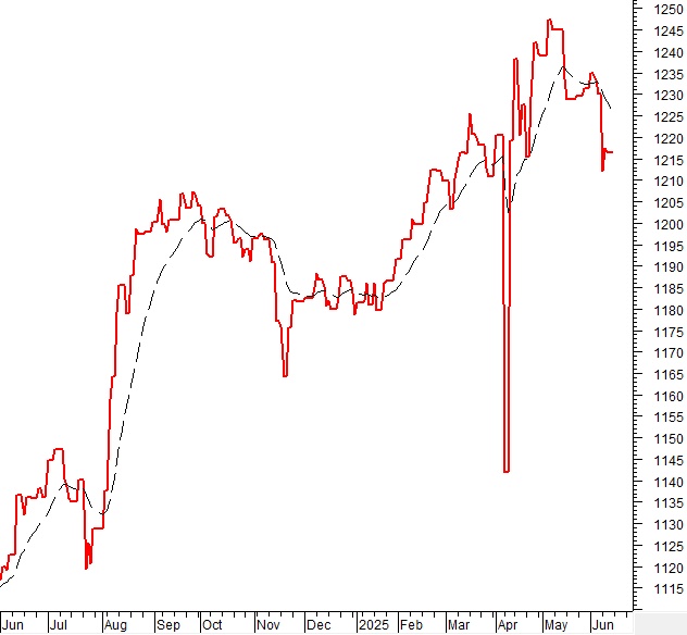 Vietstock Weekly 16-20/06/2025: Vùng 1,300 điểm đóng vai trò ngưỡng hỗ trợ quan trọng