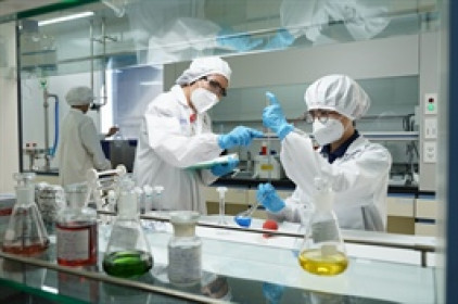 Bidiphar chốt quyền cổ tức 20%, chuẩn bị phát hành ESOP giá 10,000 đồng/cp