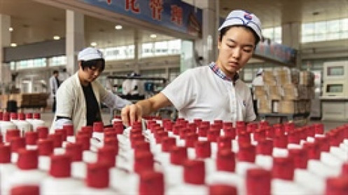 Ngành rượu Trung Quốc đang "tan nát" vì 3 cú sốc