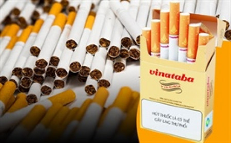 Vinataba báo lãi cao nhất 7 năm, lo mất 50% sản lượng vì Luật thuế TTĐB mới