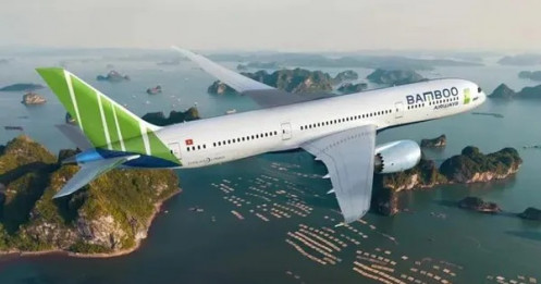 Chủ tịch Bamboo Airways xin từ nhiệm