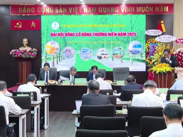 ĐHĐCĐ GVR: Nguồn cung mủ cao su thiếu hụt đến 2028, mục tiêu phát triển 2,400MW năng lượng tái tạo