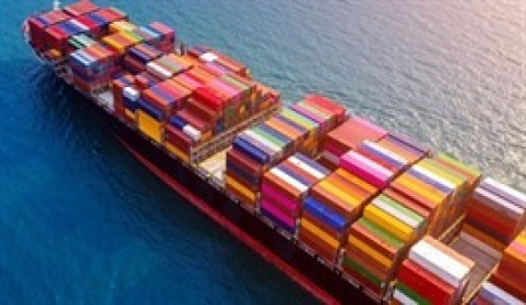 Transimex muốn gom thêm 1 triệu cp VNF