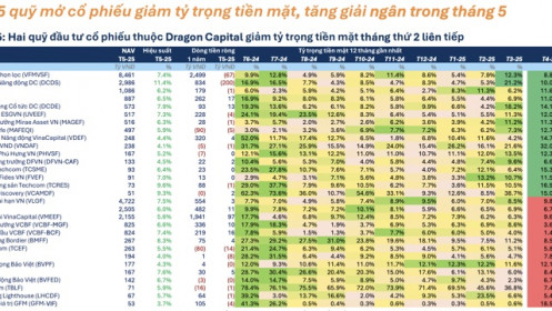 Hiệu suất bay cao, các quỹ cổ phiếu mạnh tay "xuống tiền" trong tháng 5