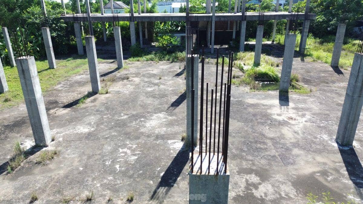 Sau 15 năm dự án khu thương mại giữa trung tâm Huế vẫn thành bãi hoang ảnh 12