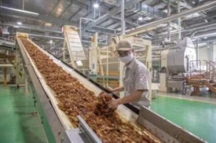 Cát Lợi chốt quyền trả cổ tức còn lại 2,500 đồng/cp