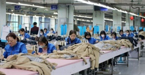 Vinatex lãi gần 556 tỷ đồng nửa đầu 2025, chưa vội chuyển sàn niêm yết