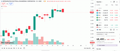 Lần thứ 5, Quỹ ngoại Singapore kiên trì đăng ký mua cổ phiếu REE