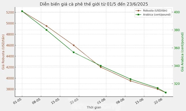 Lý do giá cà phê lao dốc ảnh 1