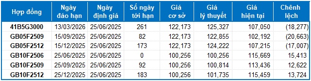 Chứng khoán phái sinh ngày 25/06/2025: Các tín hiệu đang ủng hộ phe Long