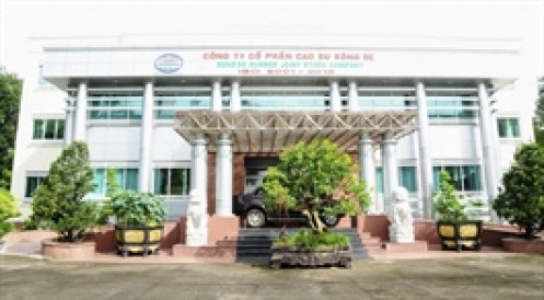 Cao su Sông Bé bị phạt gần 140 triệu đồng do 2 vi phạm công bố thông tin