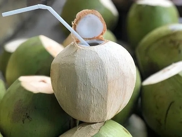 Vì sao Việt Nam vừa phải chi khoản tiền rất lớn nhập khẩu lượng dừa?